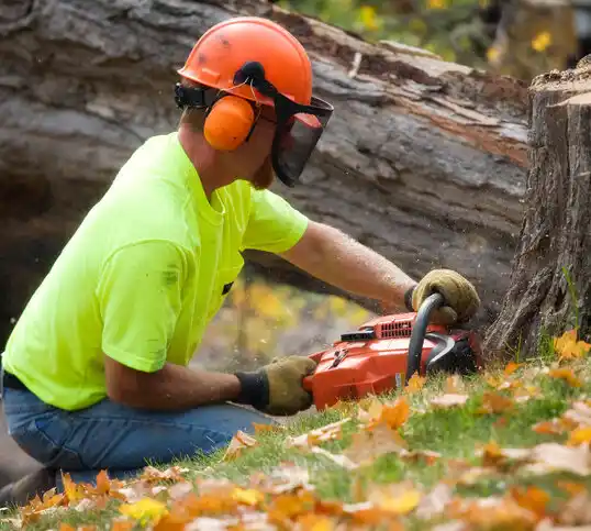 tree services River Bend